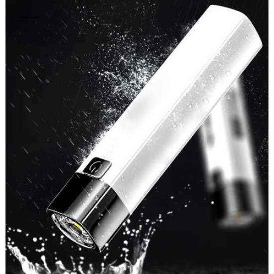 2-in-1 USB Rechargeable Flashlight Power Bank 2-in-1 USB Rechargeable Flashlight Power Bank