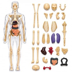 Human Body 3D Puzzle, Body Parts Toy for Kids Ages 3-12 Yrs