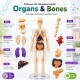 Human Body 3D Puzzle, Body Parts Toy for Kids Ages 3-12 Yrs